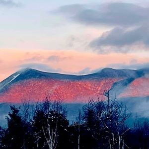 Meet your Posher, Kristy